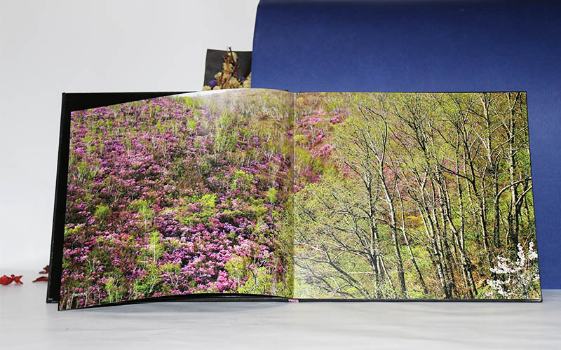 精裝書印刷,精裝書制作,精裝書印刷生産廠家